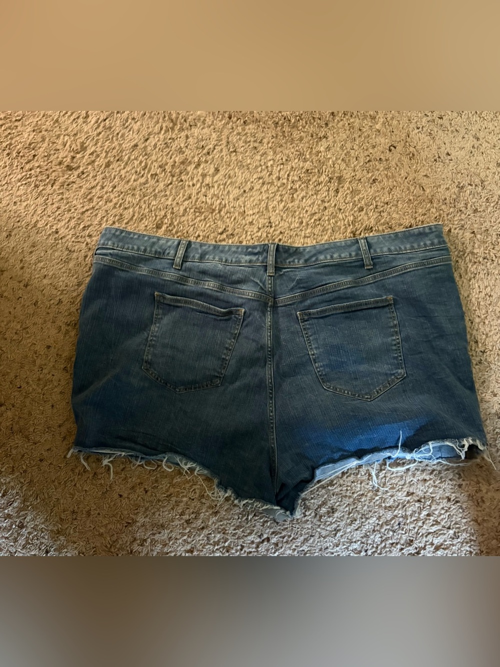 Plus Size Jean Shorts - Picture 3 of 3